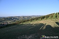 VBS_5713 - C'è un mare di velluto verde! E tu che sognavi di andare lontano... Quanta meraviglia, quì!